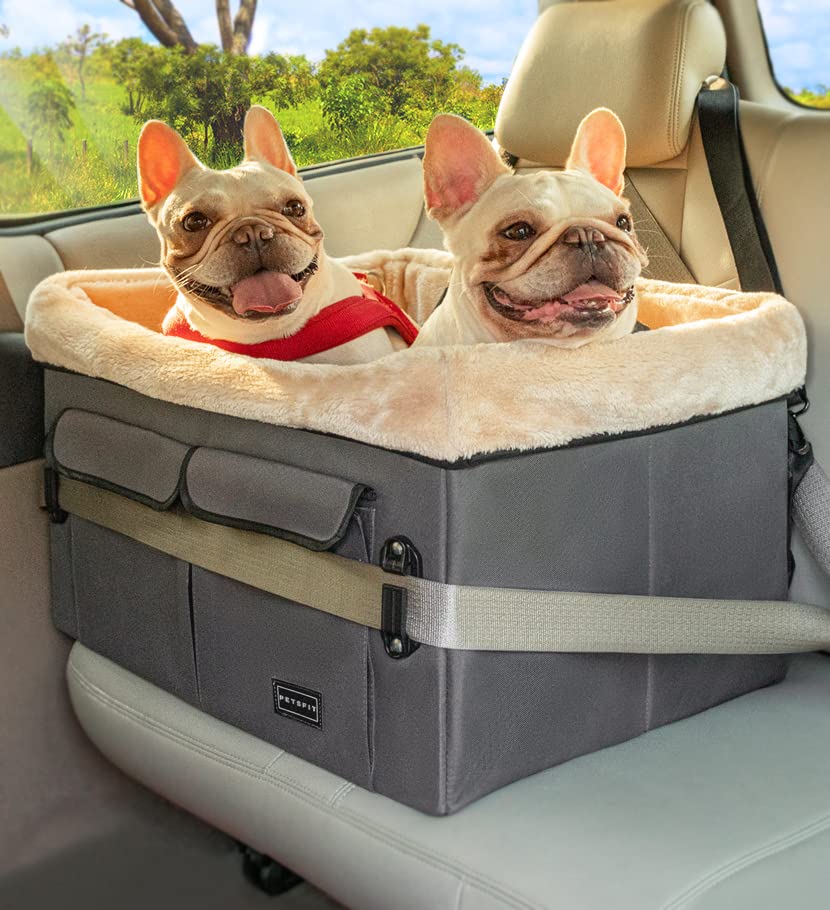 Carriers & Car Seats: Ride in Style