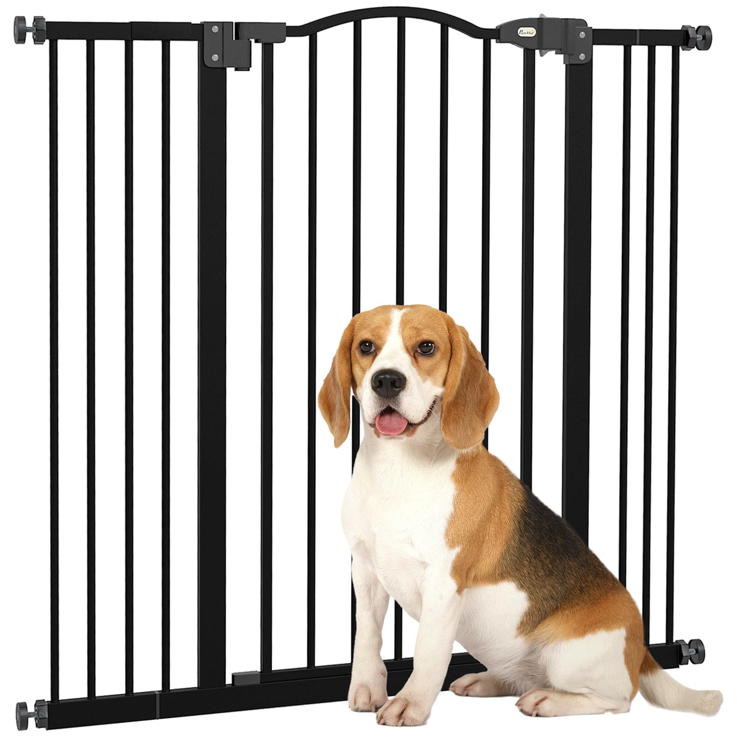 Crates, Gates and playpens: Safe Spaces for Happy Pups