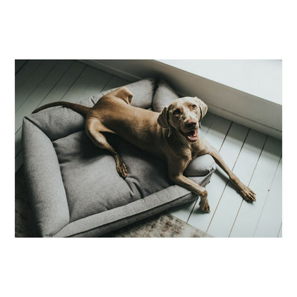 Hunter Prag Grey Dog Sofa: Stylish, Practical Comfort for Your Pup!