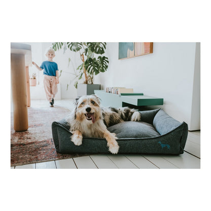 Hunter Prag Blue Dog Sofa: Ultimate Comfort in Stylish Design!