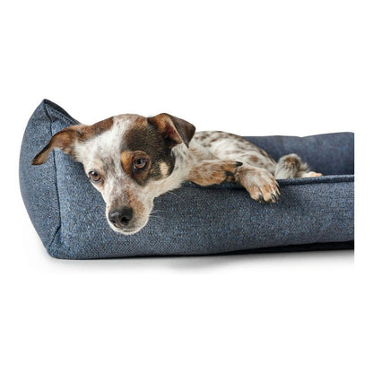 Hunter Prag Blue Dog Sofa: Ultimate Comfort in Stylish Design!