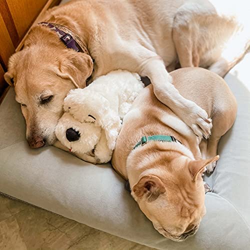 Heartbeat Stuffed Toy for Dogs - Pet Anxiety Relief and Calming Aid - Golden