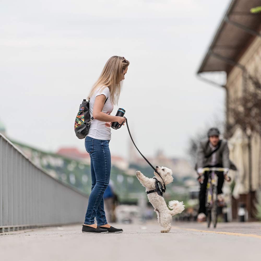 Julius-K9 IDC Powerharness – Perfect Control for Urban Walks