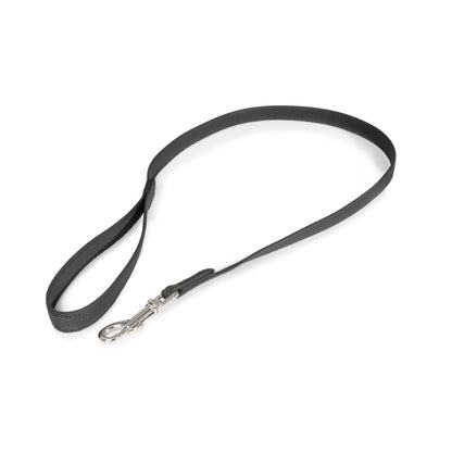 Julius-K9 Color &amp; Gray Super-Grip Leash – Durability Meets Functionality!