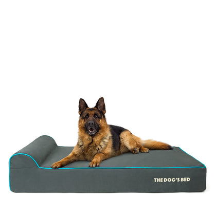 The Dog's Balls Orthopaedic Dog Bed – Grey with Blue Trim