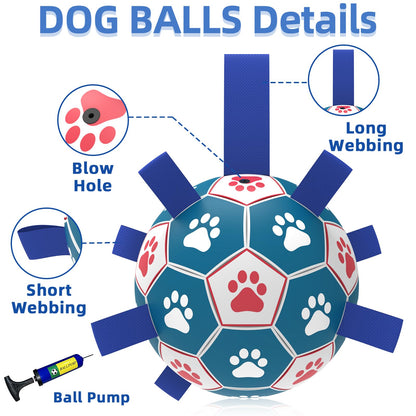 HETOO Interactive Dog Soccer Ball – Blue &amp; White