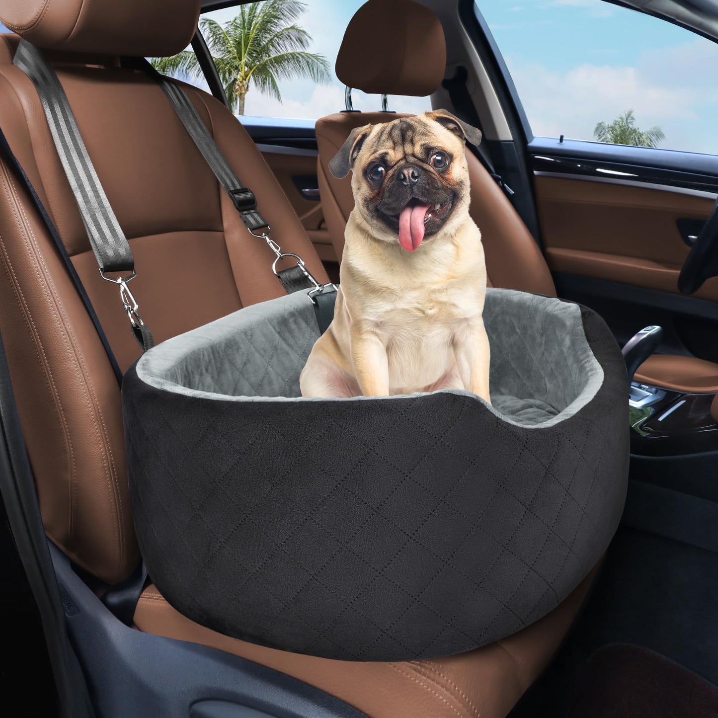 Feporen Dog Car Booster Seat – Travel in Comfort and Style!