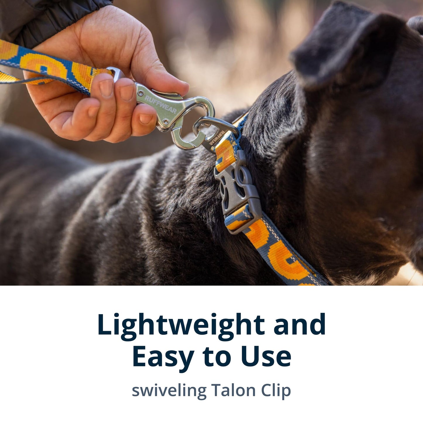 RUFFWEAR Crag Dog Lead – The Ultimate Leash for Adventures!