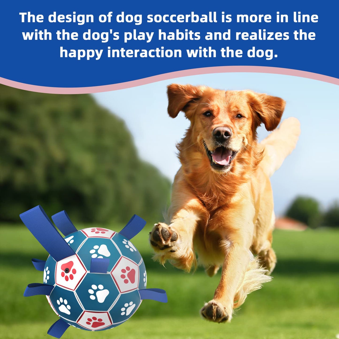 HETOO Interactive Dog Soccer Ball – Blue &amp; White