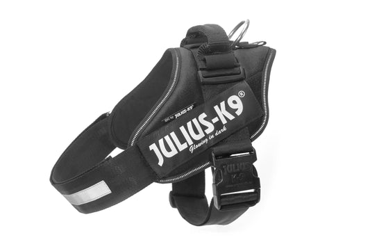 Julius-K9 IDC Powerharness – Perfect Control for Urban Walks