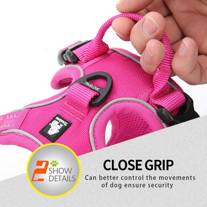 MOKCCI Fuchsia Dog Harness – XS