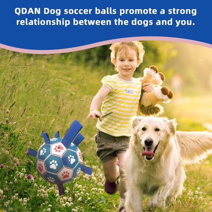 HETOO Interactive Dog Soccer Ball – Blue &amp; White