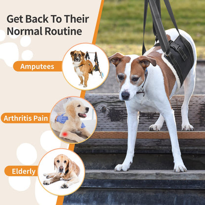 BRO Dog Mobility Support Harness – Comfortable Lift Aid for Elderly & Injured Dogs