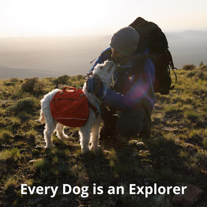 RUFFWEAR Crag Dog Collar – For Stylish and Safe Adventures!