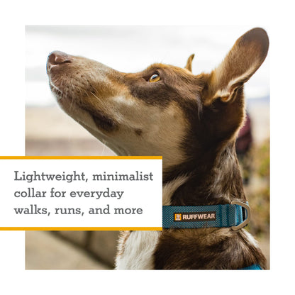 RUFFWEAR Hi &amp; Light Dog Collar – Lightweight and Durable for Active Dogs