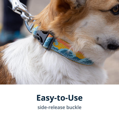 RUFFWEAR Crag Dog Collar – For Stylish and Safe Adventures!