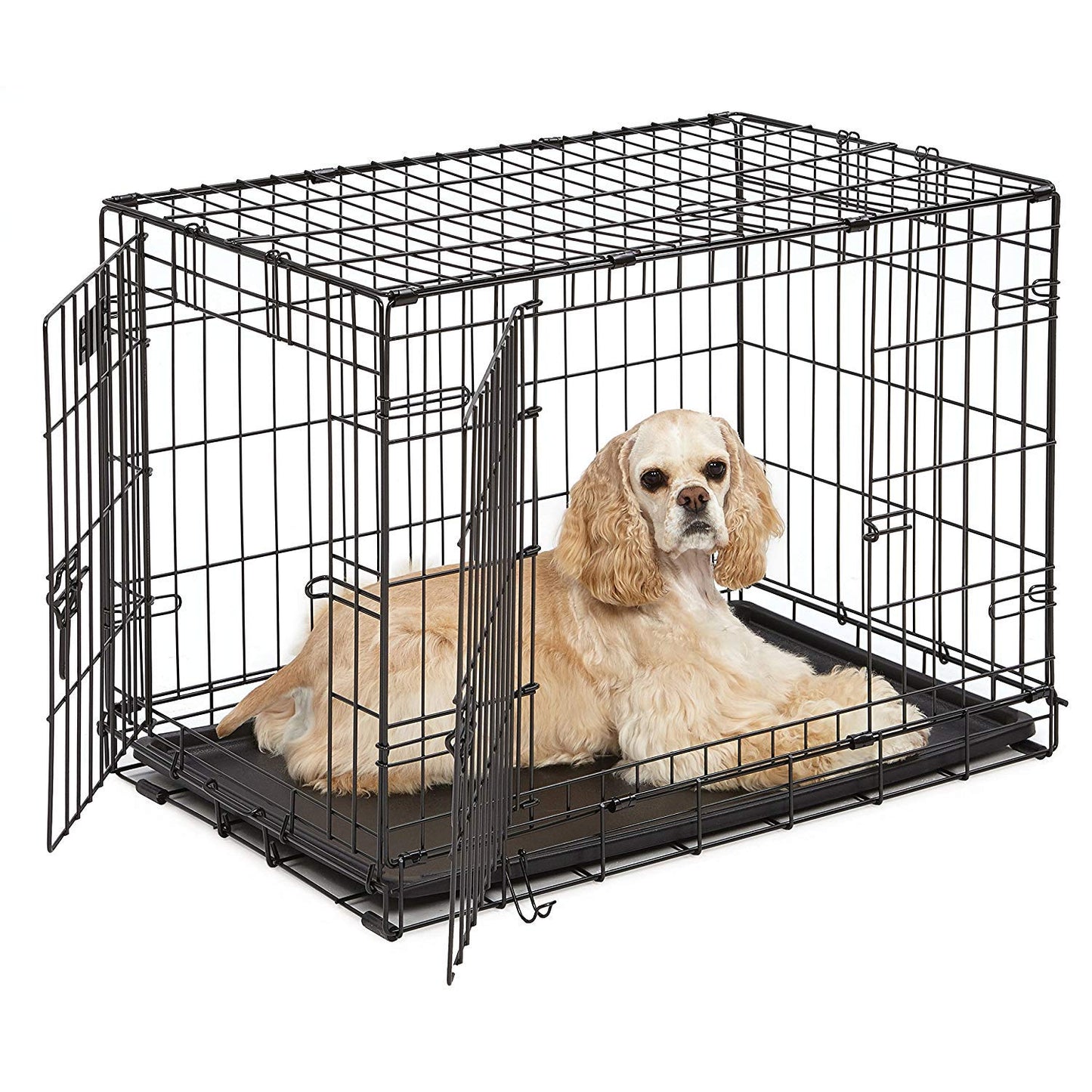 MidWest Homes for Pets Double Door Dog Crate - Safe & Secure with Divider Panel