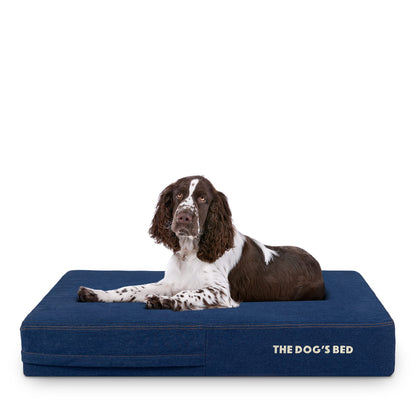 Orthopaedic Dog Bed Large Blue Denim, Waterproof Memory Foam Dog Bed