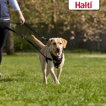 Company of Animals Halti Training Lead – Black