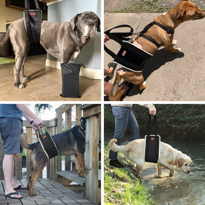 PICK FOR LIFE Rear Legs Support Harness – Aiding Mobility and Recovery for Large Dogs