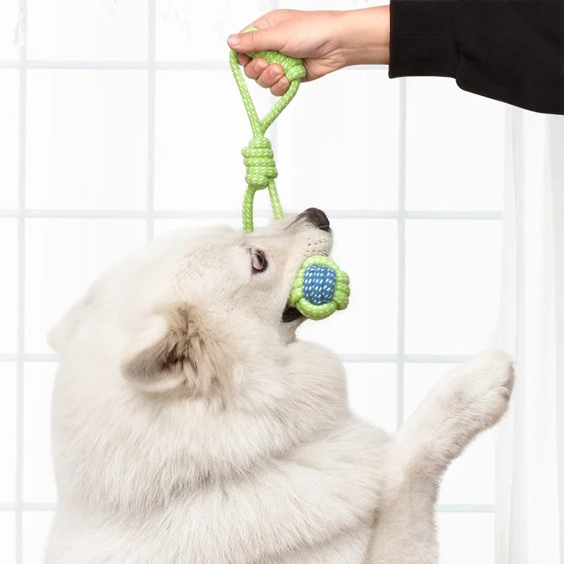 Pet Dog Toys for Large Small Dogs Toy Interactive Cotton Rope Mini Dog