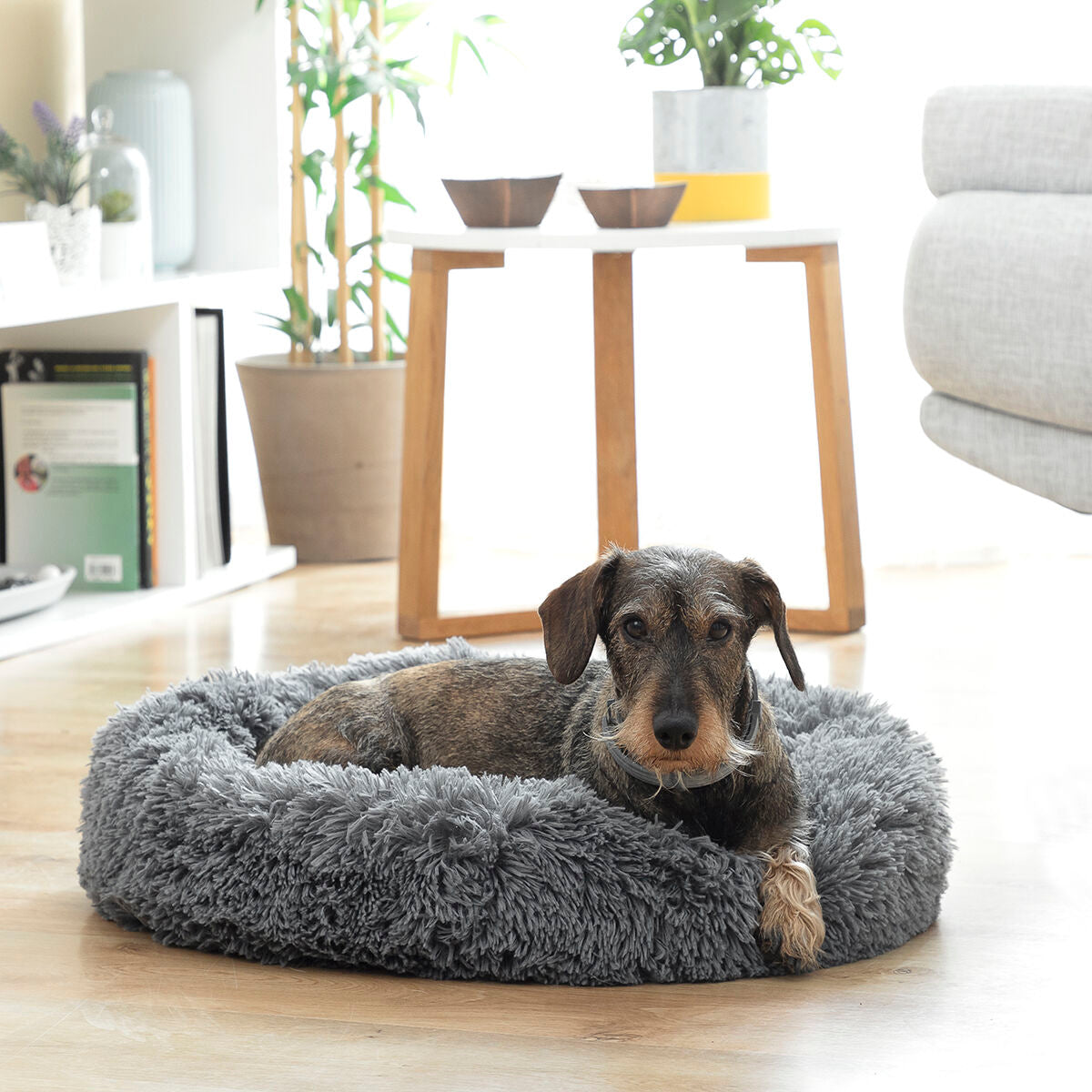 Bepess InnovaGoods Anti-Stress Pet Bed: The Perfect Comfort for Your Pet!